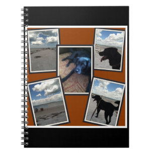 entzückende Collage der Fotos des Strandes und de Notizblock