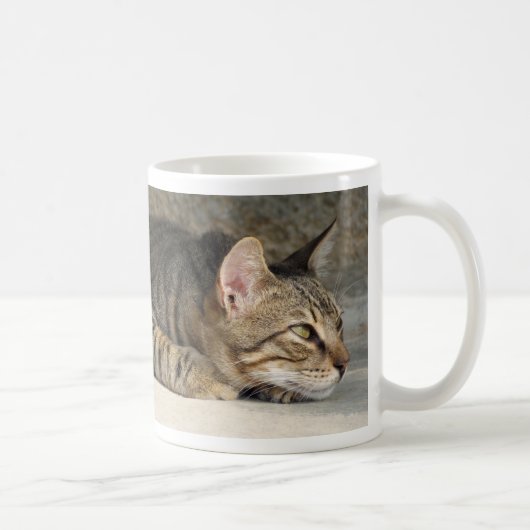 Entzückende durchdachte Tabby-Katzen-Tasse Kaffeetasse (Rechts)