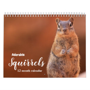Entzückende Eichhörnchen 2027 Kalender