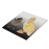 Entzückende Entlein-Fotografie Fliese (Seite)