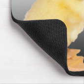 Entzückende Entlein-Fotografie Mousepad (Ecke)