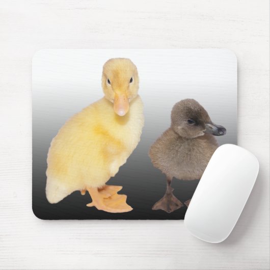 Entzückende Entlein-Fotografie Mousepad (Mit Mouse)