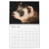 Entzückende Frettchen 2027 Kalender (Feb 2027)
