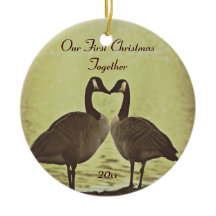 Entzückende Gänse unsere erste