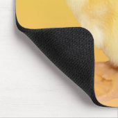 Entzückende gelbe Entlein-Fotografie Mousepad (Ecke)