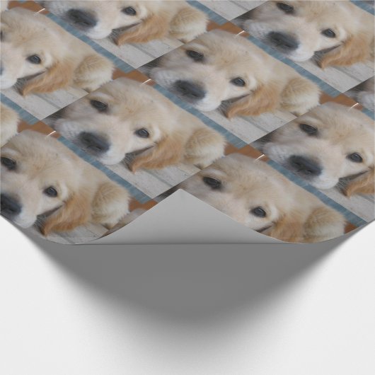 Entzückende goldene Retriever Geschenkpapier (Ecke)