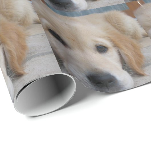 Entzückende goldene Retriever Geschenkpapier (Rolleneckpunkt)