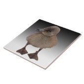 Entzückende graue Entlein-Fotografie Fliese (Seite)