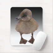 Entzückende graue Entlein-Fotografie Mousepad (Mit Mouse)