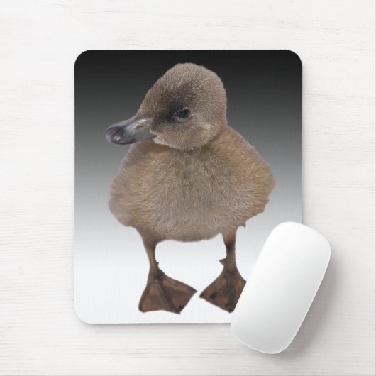 Entzückende graue Entlein-Fotografie Mousepad (Mit Mouse)