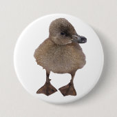 Entzückende graue Entlein-Nahaufnahme-Fotografie Button (Vorderseite)