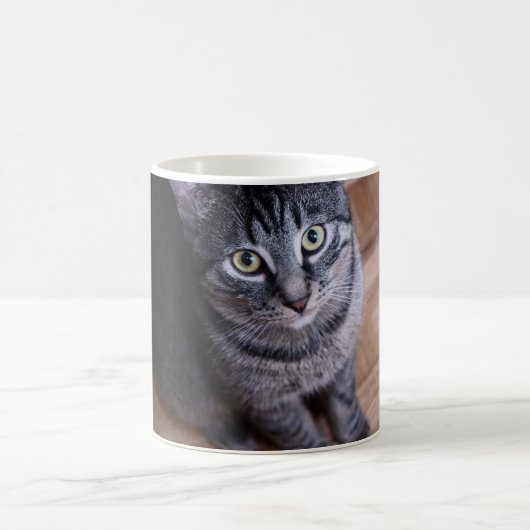 Entzückende graue Katze Kaffeetasse (Mittel)