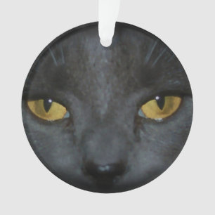 Entzückende graue Kitty-Katzen-personalisierte Ornament