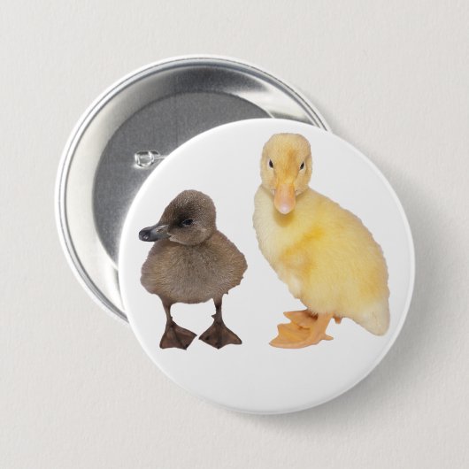 Entzückende graue und gelbe Entlein-Fotografie Button (Vorne & Hinten)