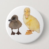 Entzückende graue und gelbe Entlein-Fotografie Button (Vorderseite)
