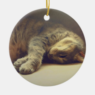 Entzückende Katze Keramik Ornament