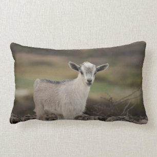 Entzückende Kinderziege Lendenkissen