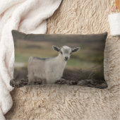 Entzückende Kinderziege Lendenkissen (Decke)