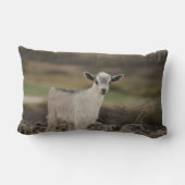 Entzückende Kinderziege Lendenkissen (Rückseite)