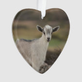 Entzückende Kinderziege Ornament (Vorderseite)