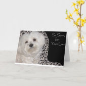 Entzückende maltesische Beileids-Karte - löschen Karte (Gelbe Blume)