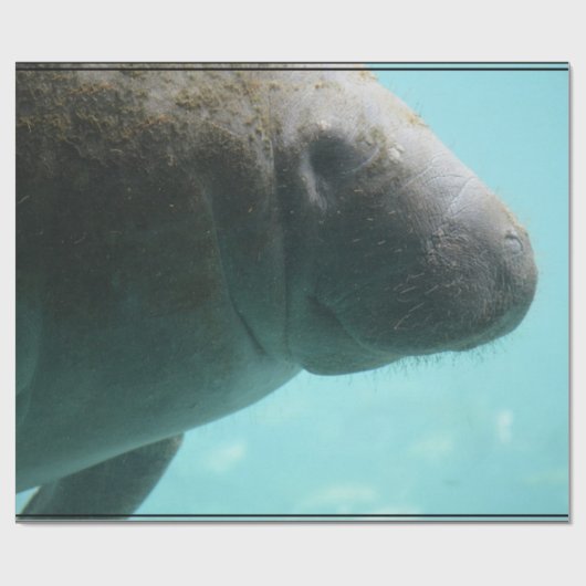 Entzückende Manatis-Schwimmen Geschenkpapier (Flach)