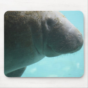 Entzückende Manatis-Schwimmen Mousepad