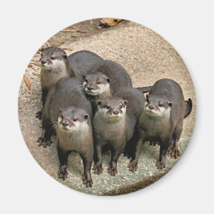 Entzückende Otter-Familie Magnet