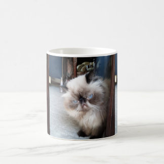 Entzückende persische Himalajakatze Kaffeetasse