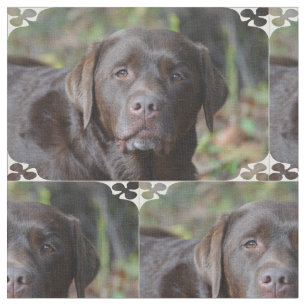 Entzückende Schokolade Labrador retriever Stoff