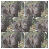 Entzückende Schokolade Labrador retriever Stoff (Muster)