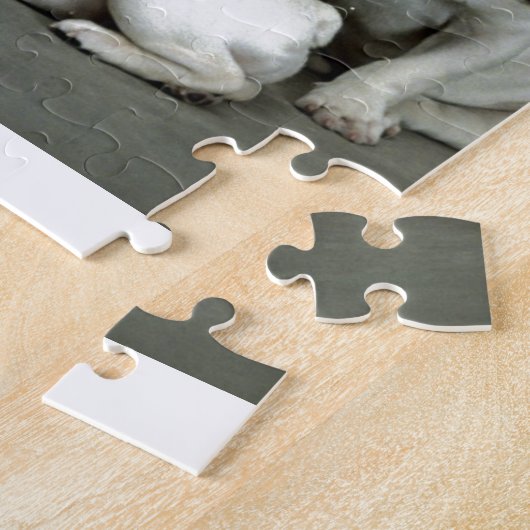 Entzückende weiße französische Bulldoggen Puzzle (Seite)