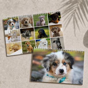 Entzückende Welpen 2026 Süßer Hund Kalender