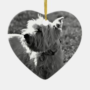 Entzückende Westie Terrier Sammlung Keramikornament