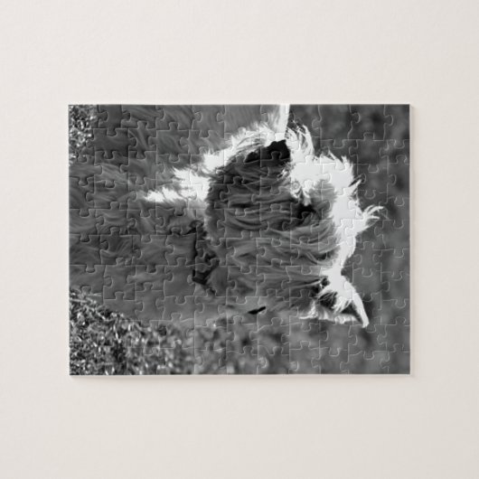 Entzückende Westie Terrier Sammlung Puzzle (Horizontal)