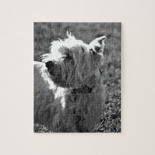 Entzückende Westie Terrier Sammlung Puzzle