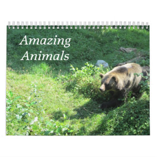 Entzückende wilde Tiere in der Natur Kalender