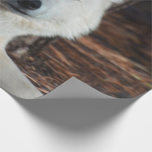 Entzückender arktischer Wolf Geschenkpapier (Ecke)