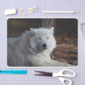 Entzückender arktischer Wolf Seidenpapier (Handwerk)