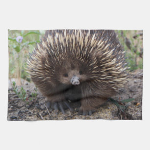 Entzückender australischer Echidna Küchentuch