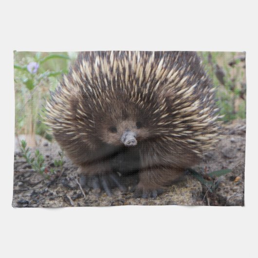 Entzückender australischer Echidna Küchentuch (Horizontal)