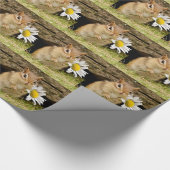 Entzückender BabyChipmunk mit Gänseblümchen Geschenkpapier (Ecke)