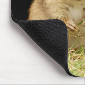 Entzückender BabyChipmunk mit Gänseblümchen Mousepad (Ecke)