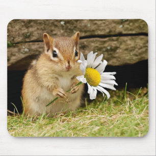 Entzückender BabyChipmunk mit Gänseblümchen Mousepad