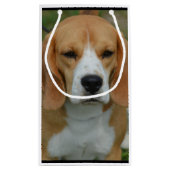 Entzückender Beagle Kleine Geschenktüte (Rückseite)