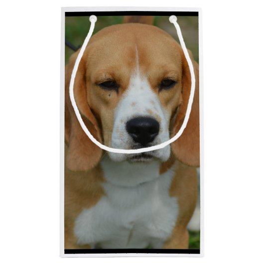 Entzückender Beagle Kleine Geschenktüte (Rückseite)