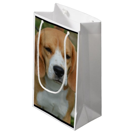 Entzückender Beagle Kleine Geschenktüte (Vorderseite Schrägansicht)