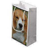 Entzückender Beagle Kleine Geschenktüte (Rückseite Schrägansicht)