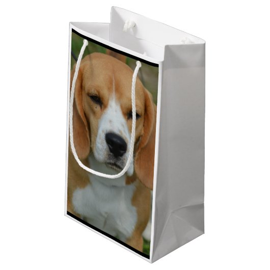 Entzückender Beagle Kleine Geschenktüte (Rückseite Schrägansicht)