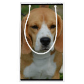 Entzückender Beagle Kleine Geschenktüte (Vorderseite)